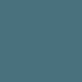Granite Grey - U4809 VL